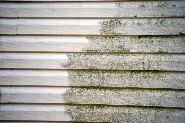 Best Moving and Downsizing Cleanouts  in Exton, PA